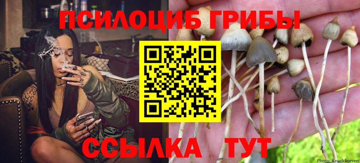 Псилоцибиновые грибы ЛСД Сафоново